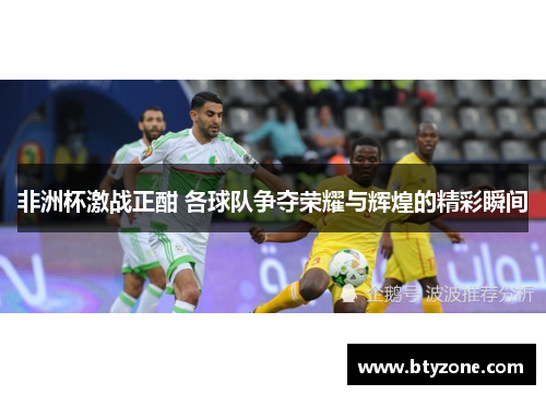 非洲杯激战正酣 各球队争夺荣耀与辉煌的精彩瞬间